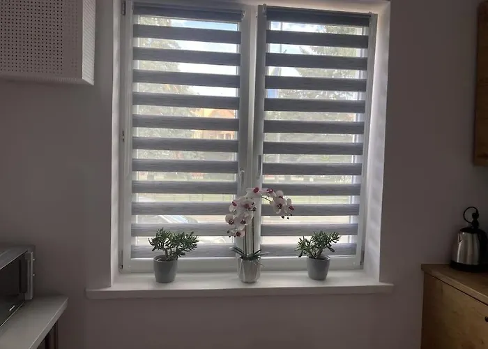 Apartament W Centrum Malborka