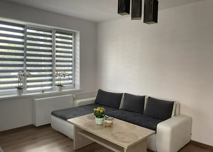 Apartament W Centrum Malborka