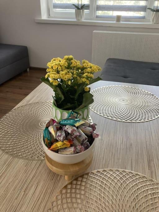 Apartment W Centrum Malborka *