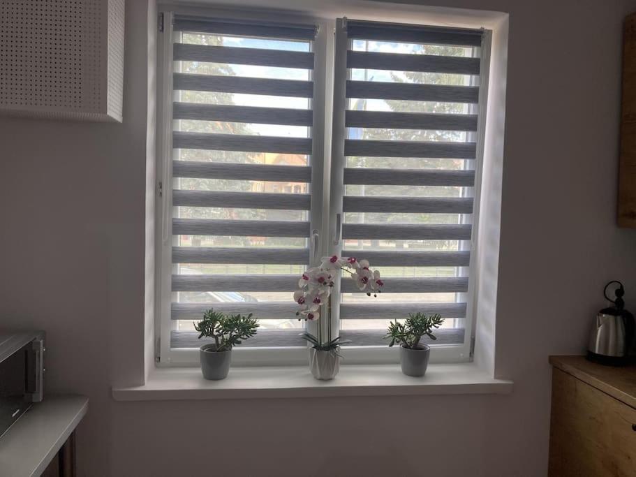 Apartment W Centrum Malborka Malbork